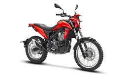 Bild von Beta Alp 4.0 und Alp X 350 ccm 4T 